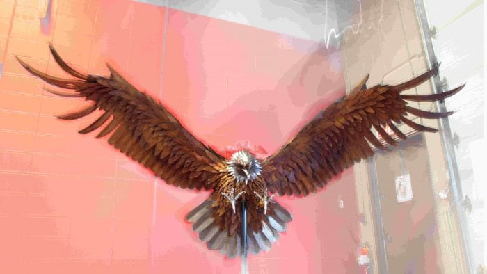 Steel sculpture of an eagle.