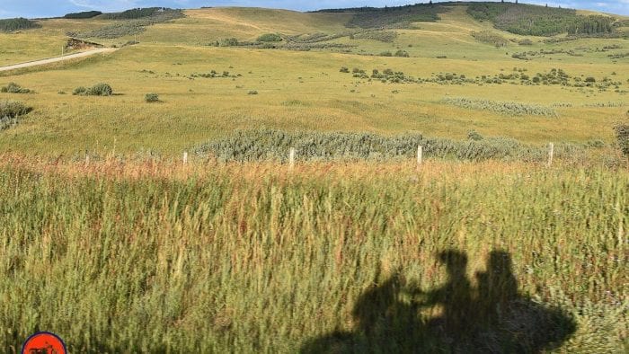 The shadow of a motorcycle with riders on the grass near Longview, Alberta.