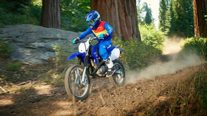2021 Yamaha TT-R125LE