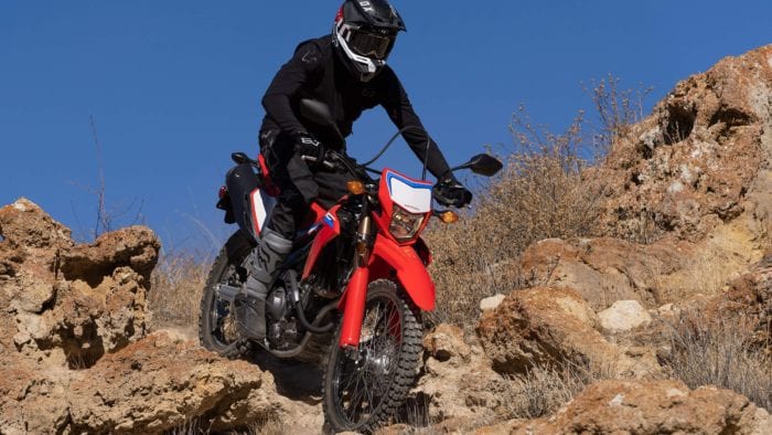 2021 Honda CRF300L / CRF300L Rally