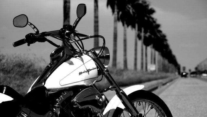 Black and white photo of Harley Davidson on street lined with palm trees